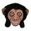 Masque Singe Intégral