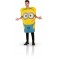 Déguisment Les Minions