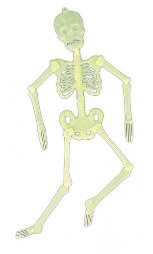 Squelette Articulé Phospho 32 cm