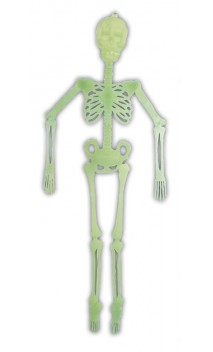 Squelette Articulé Phospho 140 cm