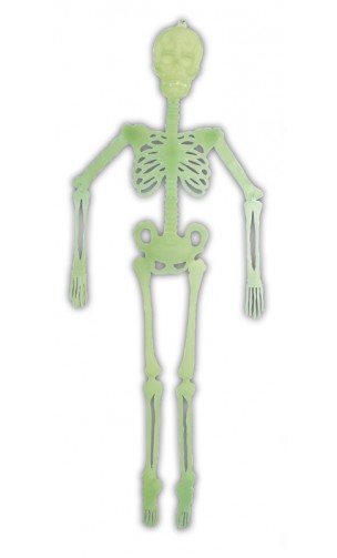 Squelette Articulé Phospho 140 cm