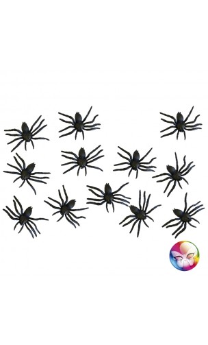 12 Araignées Noires