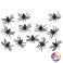 12 Araignées Noires