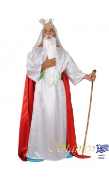 Déguisement Druide Panoramix