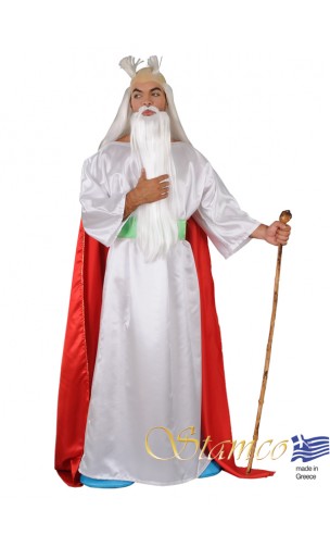 Déguisement Druide Panoramix