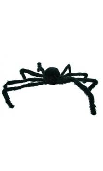 Araignée Géante Velue