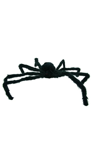 Araignée Géante Velue