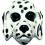 Masque Chien Dalmatien