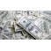 12 Faux Billets Dollar