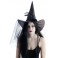 Chapeau Sorcière 3