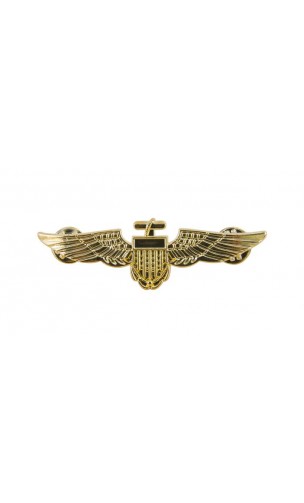 Broche aviateur dorée