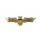 Broche aviateur dorée