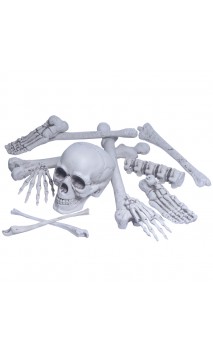 Sac d'os réaliste 12 pcs