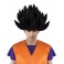 Perruque dragon ball noir