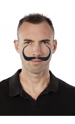 Moustache peintre Salvador Dali