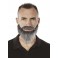 Moustache et collier barbe gris