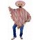 Poncho 2