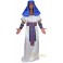 Déguisement pharaon 4 luxe