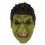 Masque hulk latex intégral