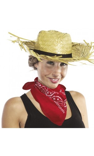 Bandana rouge pour déguisement cow boy