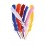 12 Plumes couleurs 