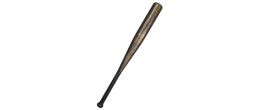 Batte de baseball couleur bronze avec sang en vente.