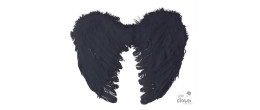 Ailes noir en vrai plumes de 45cm en vente