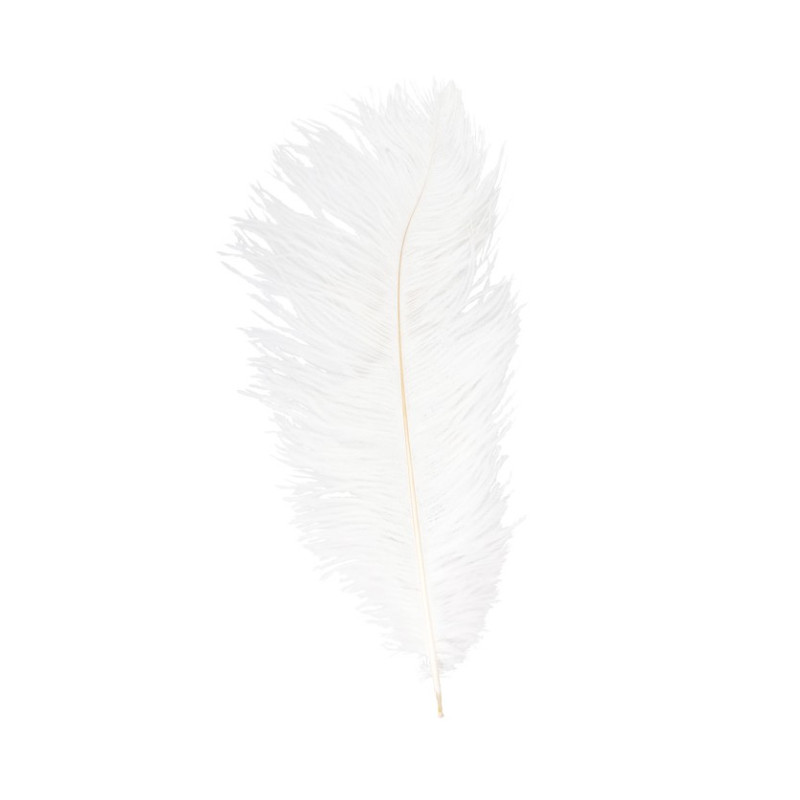 Véritable plume d'autruche couleur blanche de 65cm en vente