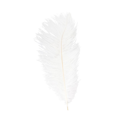 Véritable plume d'autruche couleur blanche de 65cm en vente