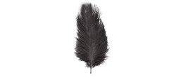 Véritable plume d'autruche couleur noire de 60cm en vente