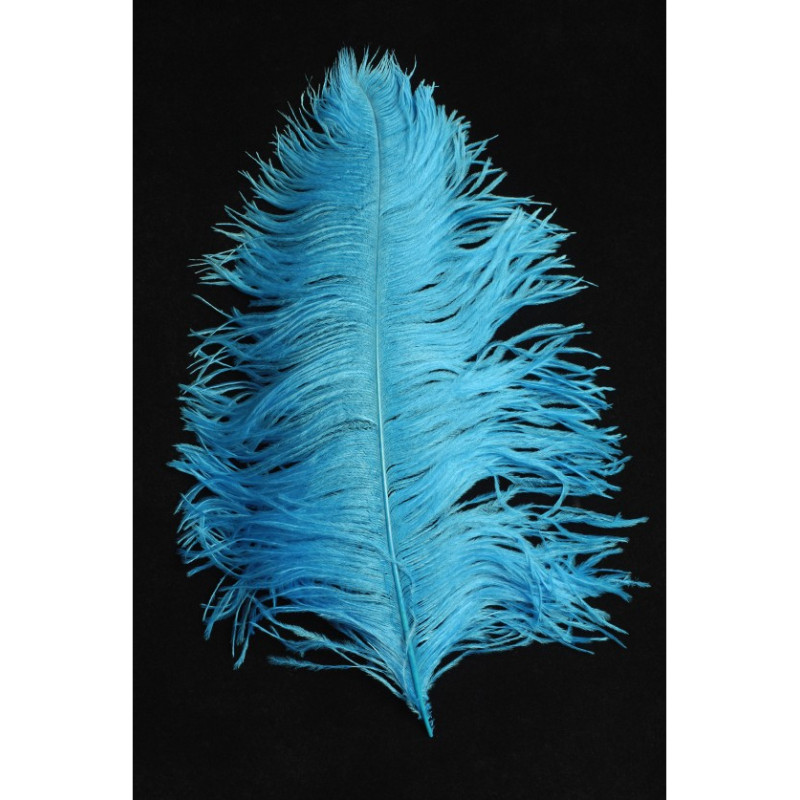 copy of Plumes d'autruche blanche 65cm