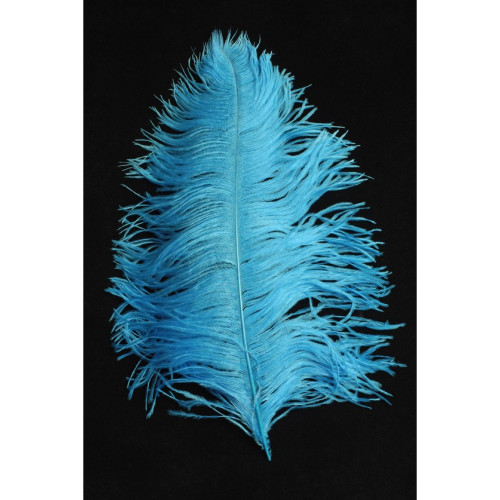 copy of Plumes d'autruche blanche 65cm