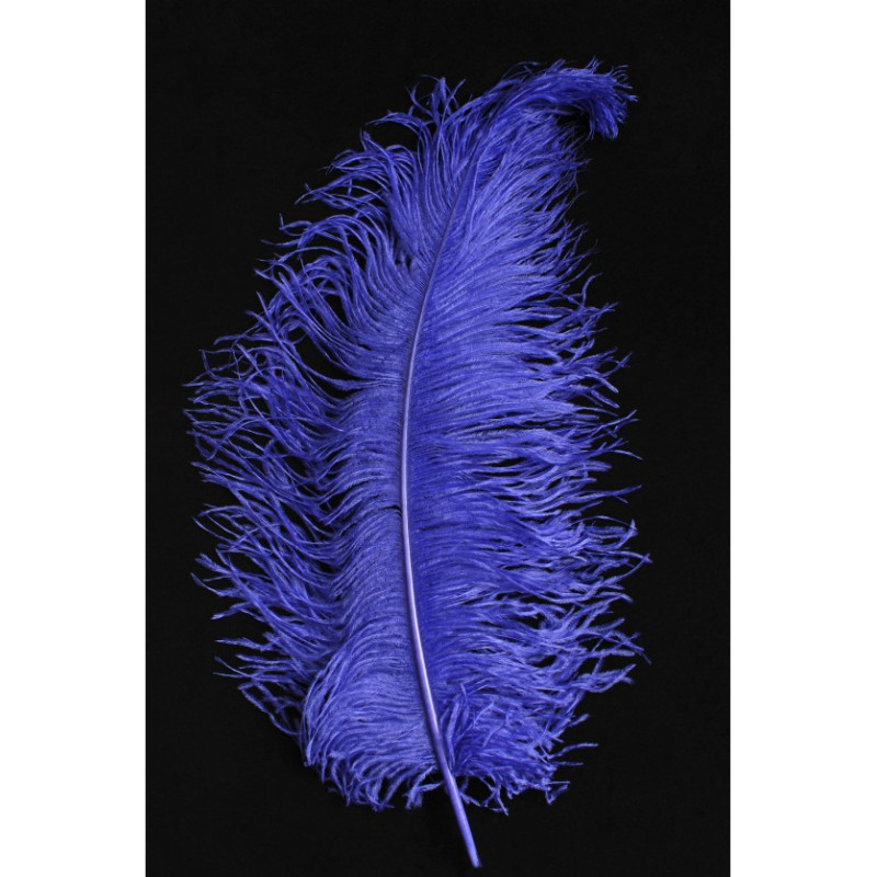 Véritable plume d'autruche couleur violette de 70cm en vente.