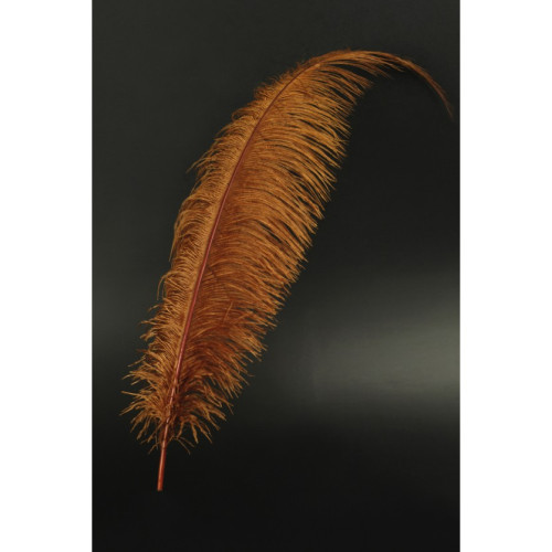 copy of Plumes d'autruche blanche 65cm