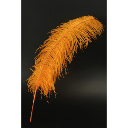 copy of Plumes d'autruche blanche 65cm