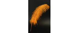 Véritable plume d'autruche couleur orange de 70cm en vente.