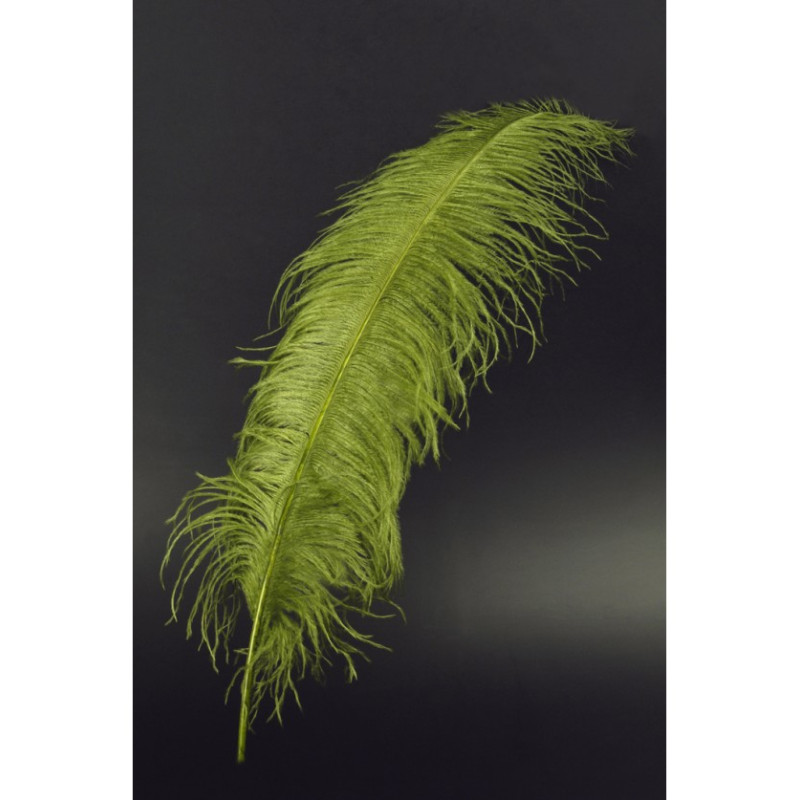 Véritable plume d'autruche couleur vert féerique de 70cm en vente.