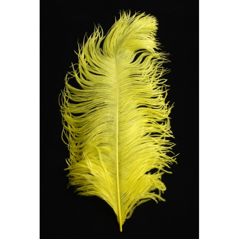 Véritable plume d'autruche couleur jaune de 50cm en vente.