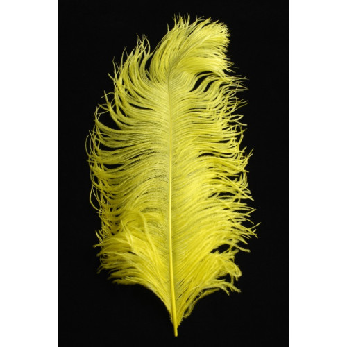 Véritable plume d'autruche couleur jaune de 50cm en vente.