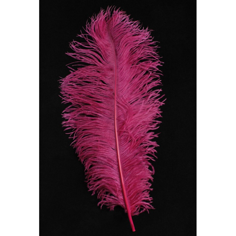copy of Plumes d'autruche blanche 65cm