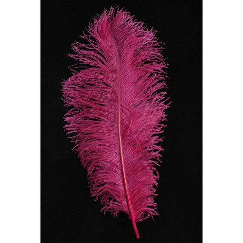 Véritable plume d'autruche couleur fuschia, magenta de 50cm en vente.