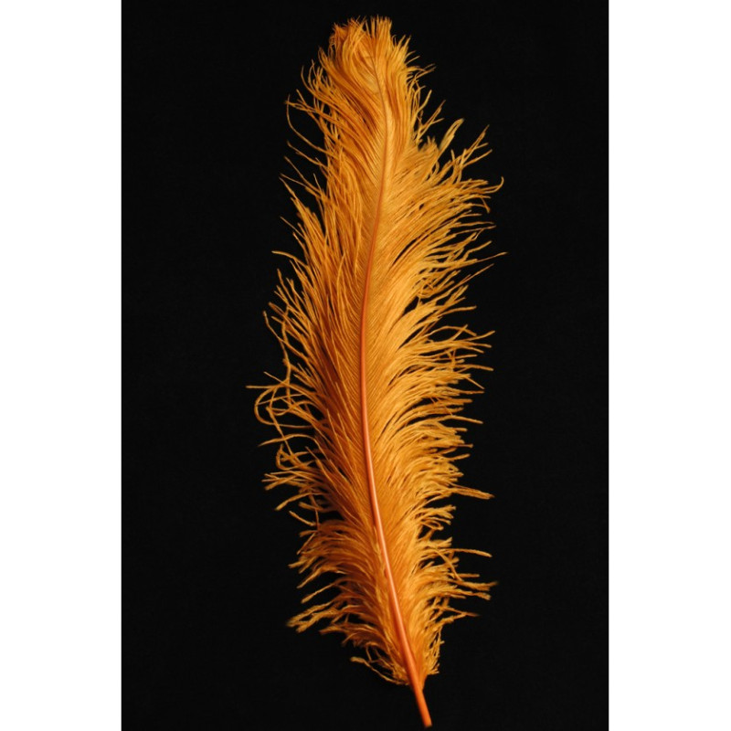 Véritable plume d'autruche couleur orange de 50cm en vente.