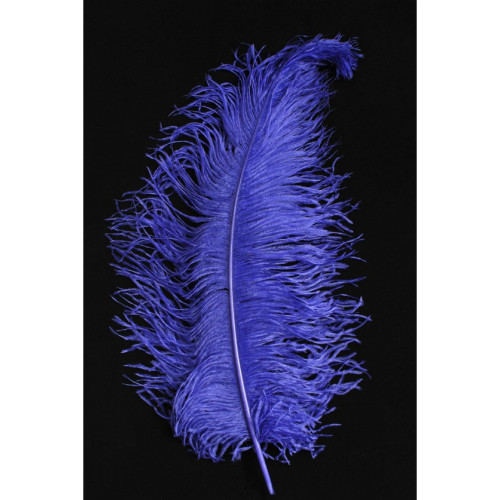 Véritable plume d'autruche couleur violette de 50cm en vente.