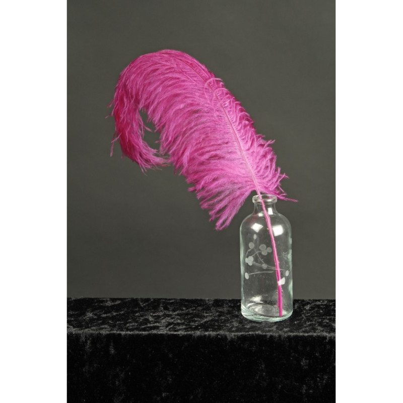 Véritable plume d'autruche couleur fuchsia de 30cm en vente.