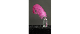 Véritable plume d'autruche couleur fuchsia de 30cm en vente.