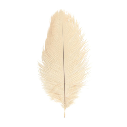 Véritable plume d'autruche couleur ivoire de 35cm en vente.