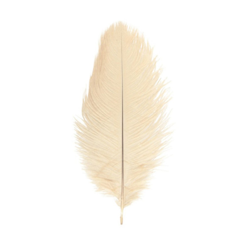 Véritable plume d'autruche couleur ivoire de 25cm en vente.