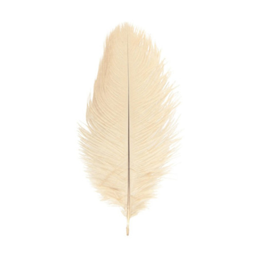 copy of Plumes d'autruche blanche 65cm