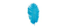 Véritable plume d'autruche couleur bleue turquoise d'une longueur de 25cm en vente