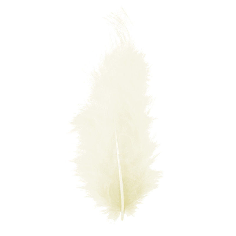 Véritable plume d'autruche couleur ivoire de 15cm en vente par sachet de 10g.